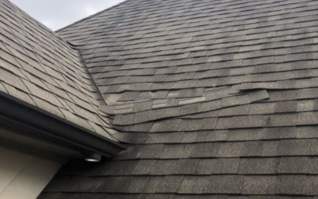 A Tale of a Determined Homeowner and the Importance of Professional Roof Repair